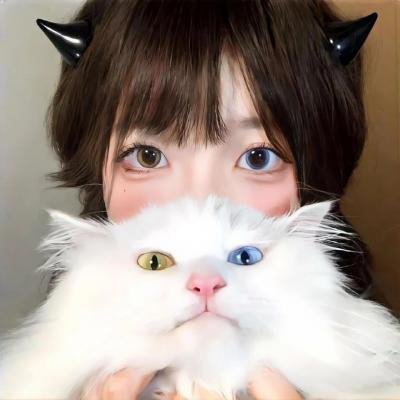 特洛伊艾迪